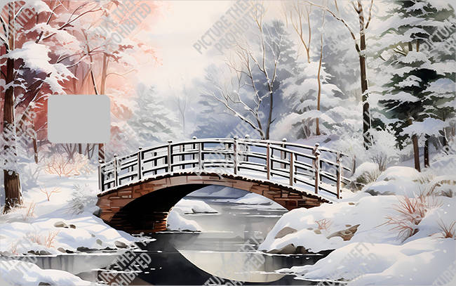 Bank  Card Sticker-BC-2770